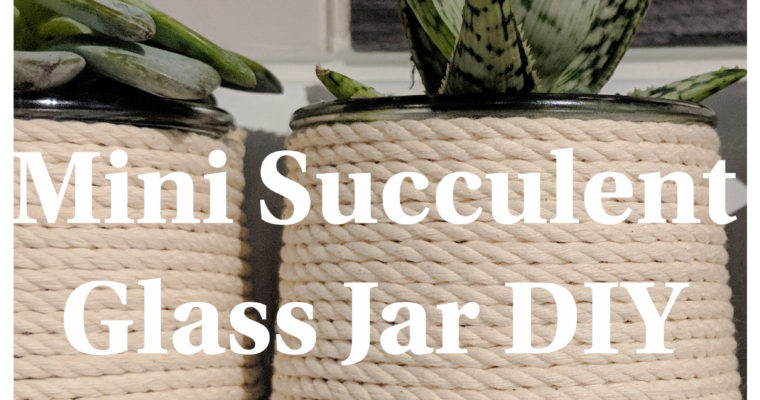 DIY Succulent Planters - Repurpose Glass Yogurt Jars!